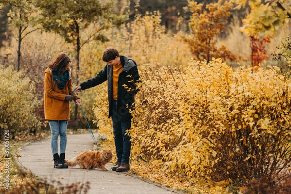 Fototapeta Young couple with a red cat on a background of an autumn park.