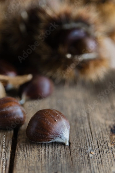 Obraz chestnuts on rustic table