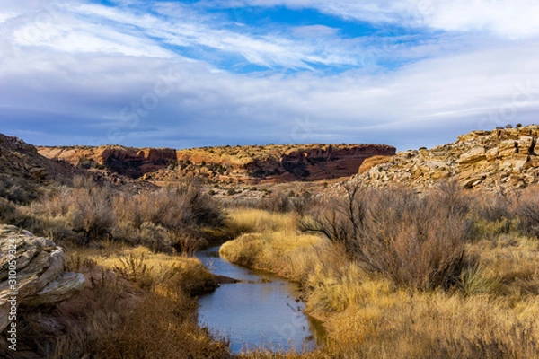 Fototapeta Isolated Creek