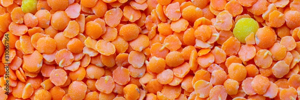 Fototapeta Red lentis background. Macro. Long horizontal banner