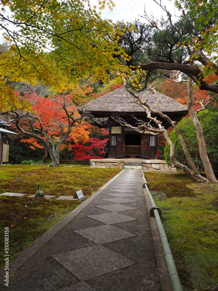 Fototapeta 北鎌倉　長寿禅寺　観音堂