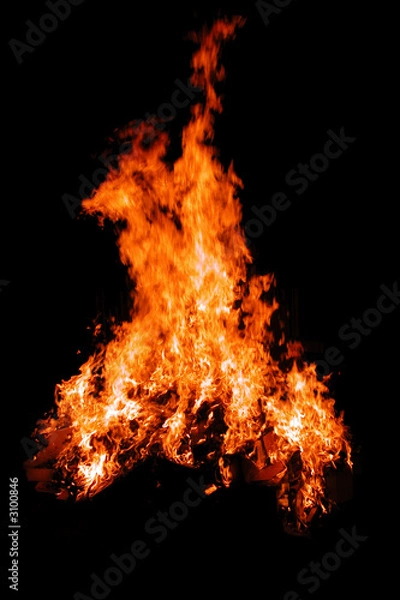 Obraz roaring bonfire