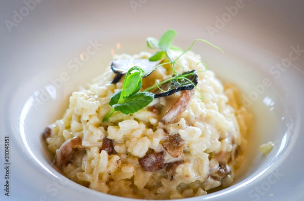 Obraz delicious italian risotto with black truffles