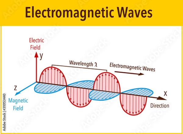 Fototapeta Electromagnetic Wave structure and parameters, vector illustration diagram with wavelength, amplitude, frequency, speed and wave types