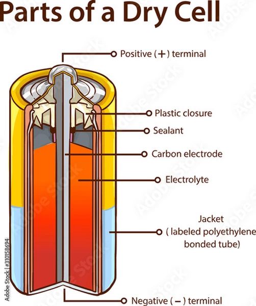 Obraz Parts of a Dry cell battery. stock illustration.Battery, Inside Of, Diagram, Dry, Cross Section