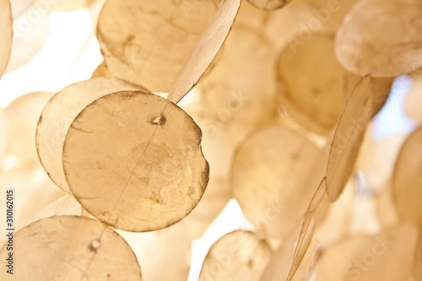 Obraz Wall Hanging Texture