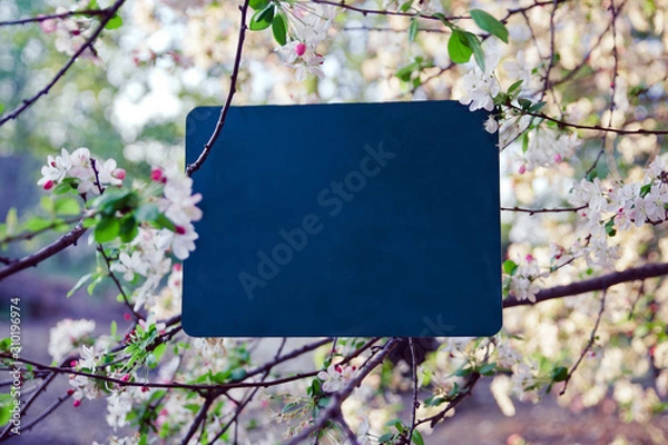 Obraz Cherry Blossom Message Chalk Board
