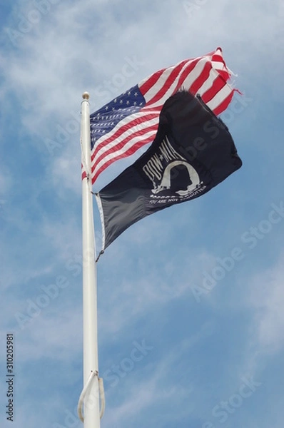 Fototapeta Tattered Flags