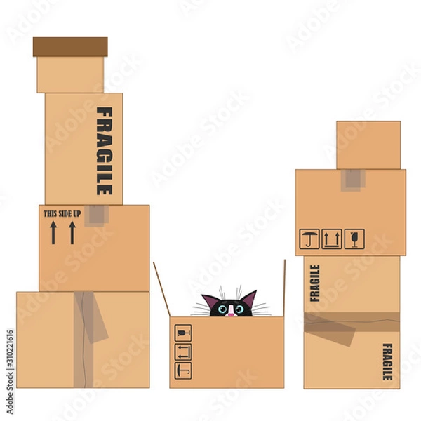 Fototapeta Many of empty boxes for moving