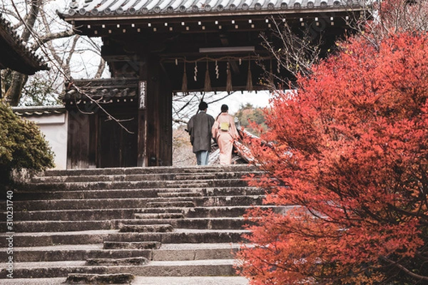 Obraz 着物で紅葉狩りを楽しむカップル