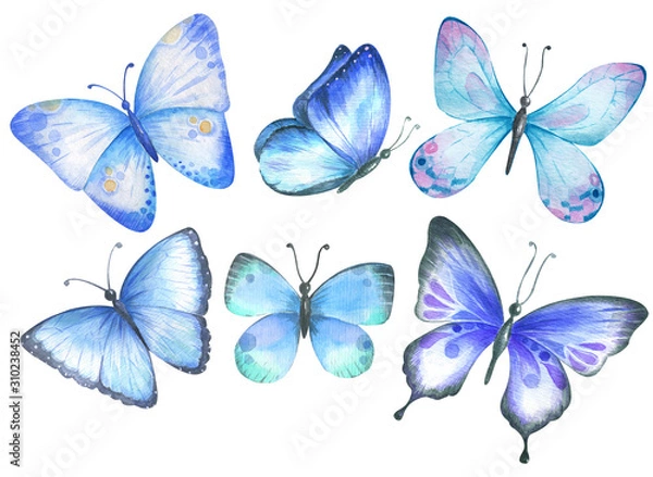 Fototapeta Set with blue watercolor butterflies.