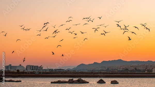 Fototapeta eilat sunset landscape with mountains 