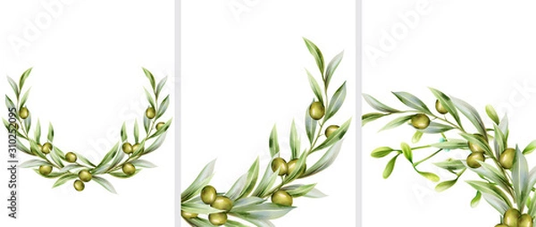 Obraz Big set of green olive wreath in random angles. Vector