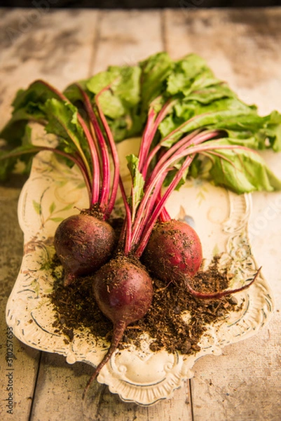 Obraz 3 beets on tray on table