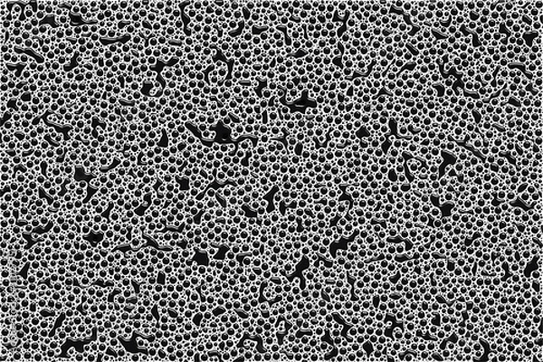 Fototapeta oil drops