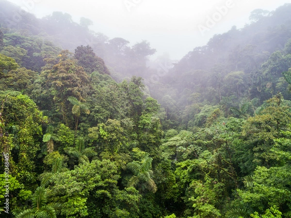 Fototapeta Lush mystical rainforest aerial drone view at La Fortuna Costa Rica jungle