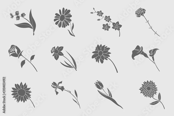 Fototapeta Zestaw ikon kwiatów - wektorowe solidne sylwetki róży, tulipanów, rumianku, goździka, irysa, kalii, orchidei, narcyza, słonecznika, chryzantemy i astry dla witryny lub interfejsu