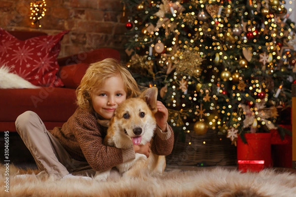 Fototapeta Little cute boy with a corgi puppy near christmas tree