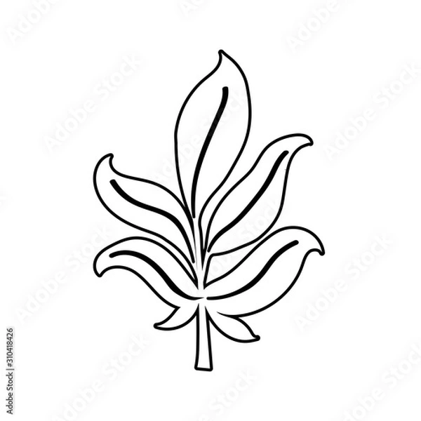 Fototapeta Isolated autumn leaf vector design