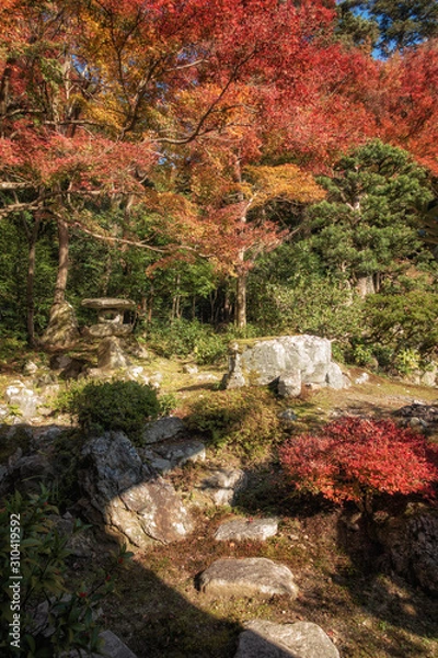 Fototapeta 滋賀県米原市の青岸寺の紅葉美しい庭園の風景です