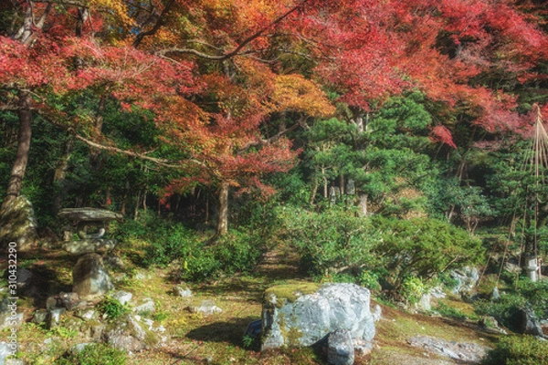Fototapeta 滋賀県米原市の青岸寺庭園の紅葉