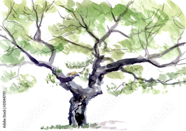 Obraz tree, watercolor