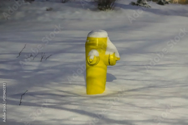 Obraz Yellow Fire Hydrant in Fresh Snow