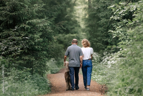 Obraz couple walking in the forest with their dog, rear view