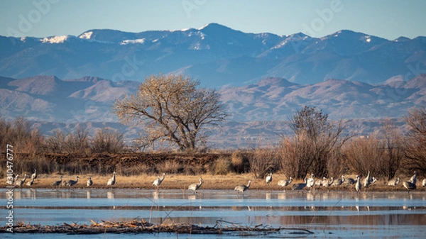 Obraz OLYMPUS DIGITAL CAMERA