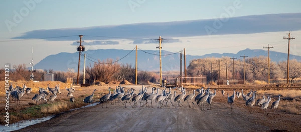 Obraz Crane Crossing