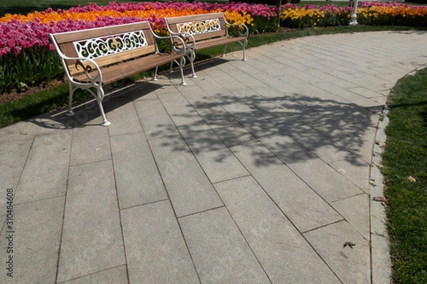 Obraz The empty bench in the park