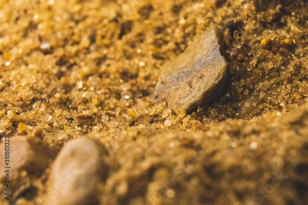Fototapeta stone on the beach