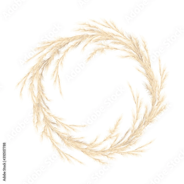 Fototapeta Złoty wieniec z trawy pampasowej. Ilustracji wektorowych. wiecha Cortaderia selloana Ameryka Południowa. szablon świątecznej dekoracji.