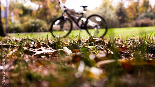 Obraz Goodbye summer