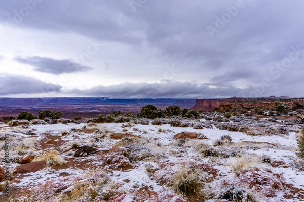 Fototapeta Early Winter