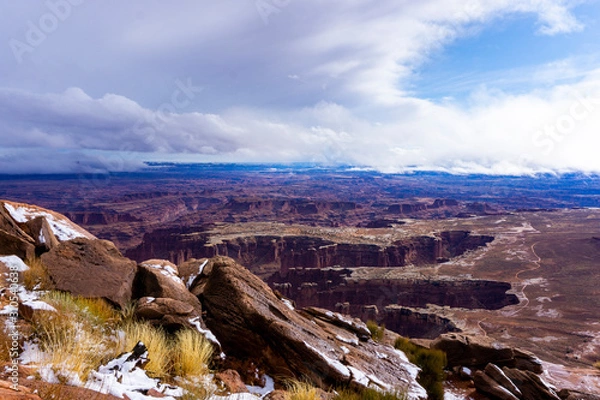 Fototapeta Rising Above