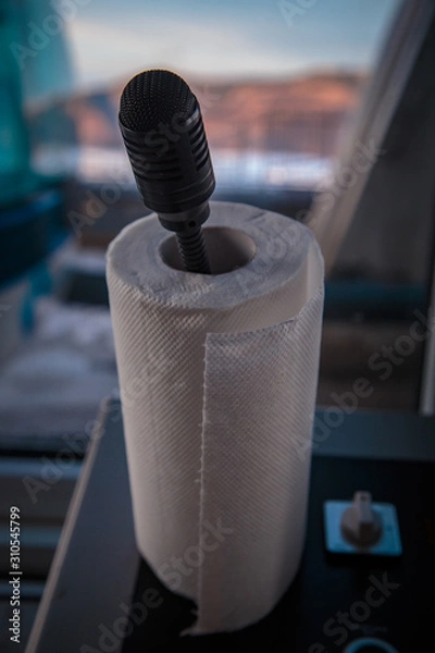 Obraz Toilete paper microphone