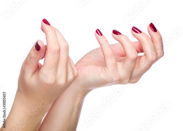 Obraz Two woman hands