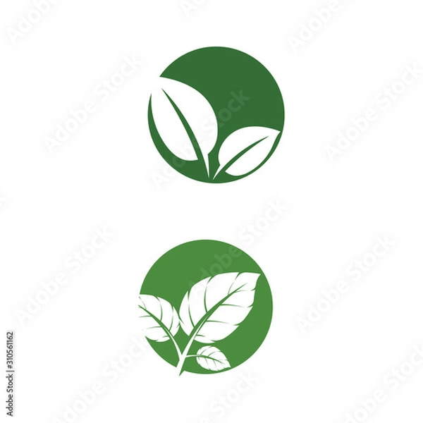 Obraz Leaf Mint Logo Template vector symbol