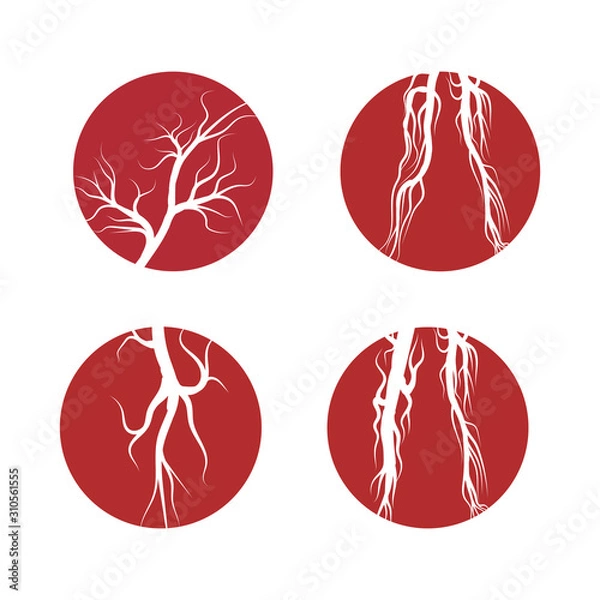 Obraz Set Veins Logo Template vector symbol