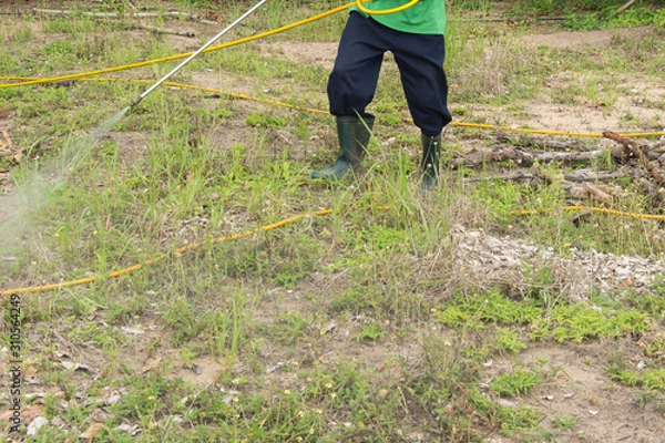 Obraz Spraying herbicide