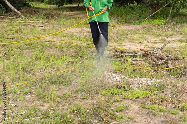 Obraz Spraying herbicide