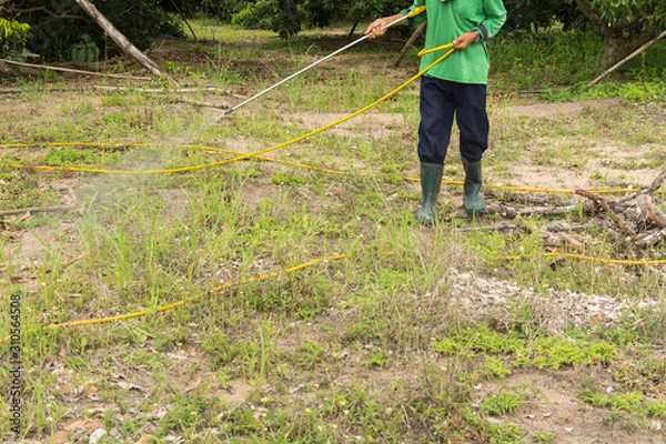 Obraz Spraying herbicide