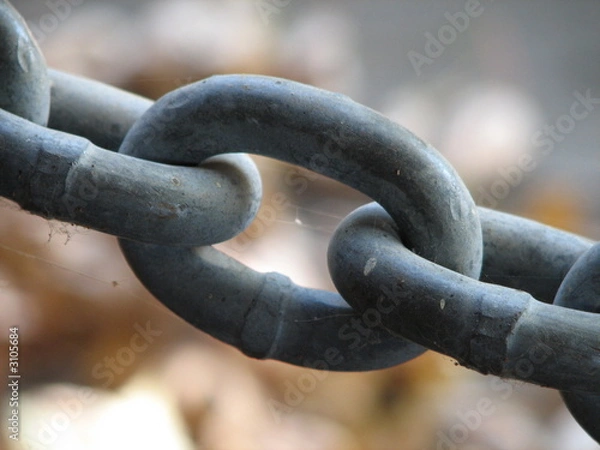 Obraz chain link