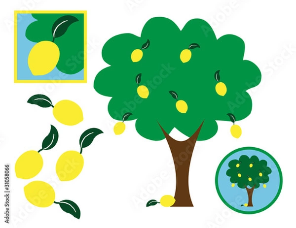 Fototapeta Lemon  and Lemon Tree Design Elements