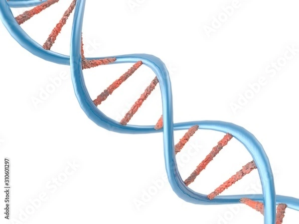 Fototapeta DNA molecule structure background. 3d illustration