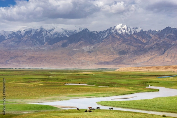Fototapeta Fresh green meadows of prairie and snow-capped mountain ranges