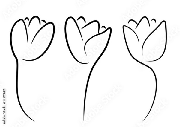 Obraz abstract tulips