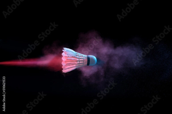 Obraz Badminton action , Badminton shuttlecock, Fast Shuttlecock