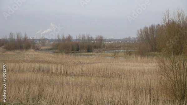 Fototapeta misty morning on the lake